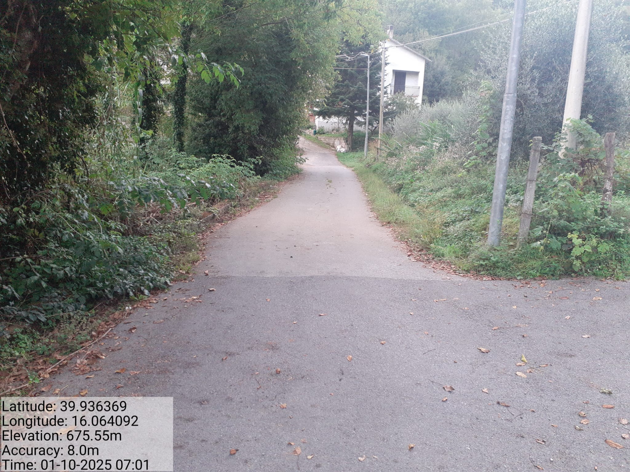 Galleria Fotografica Immagine