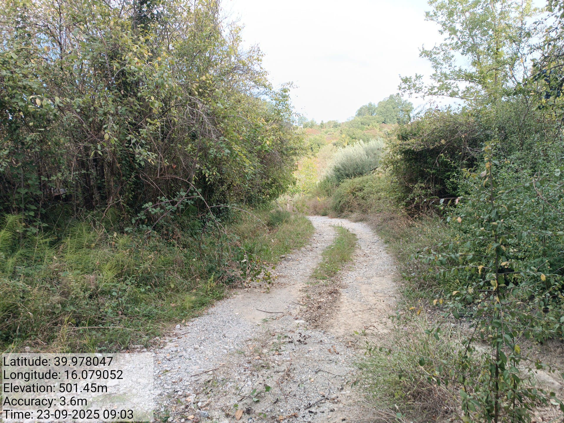 Galleria Fotografica Immagine