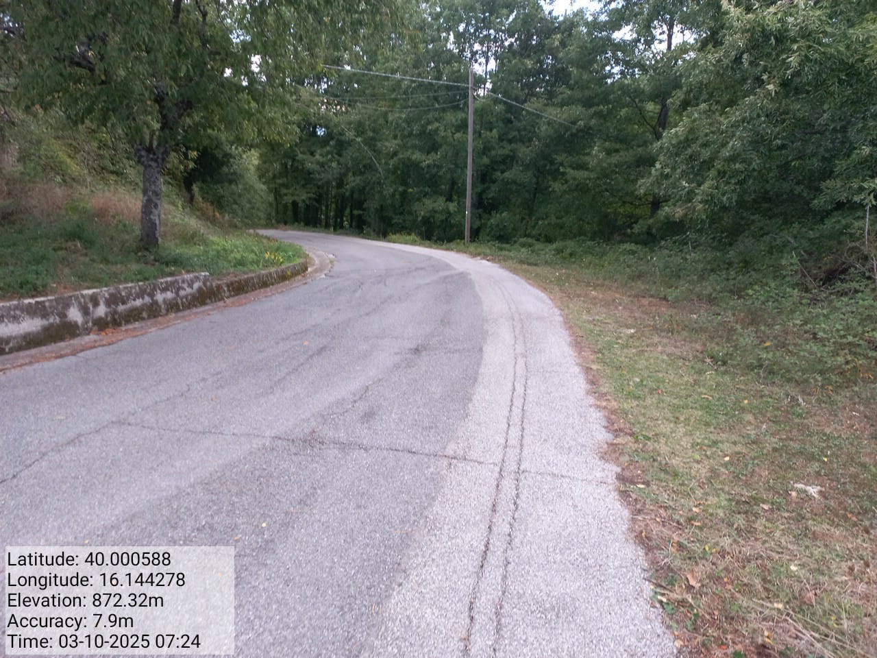 Galleria Fotografica Immagine