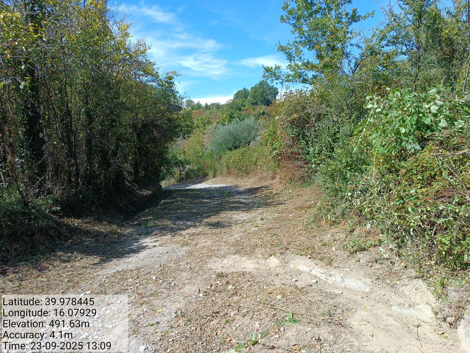 Galleria Fotografica Immagine