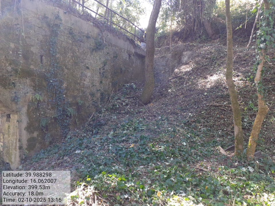 Galleria Fotografica Immagine