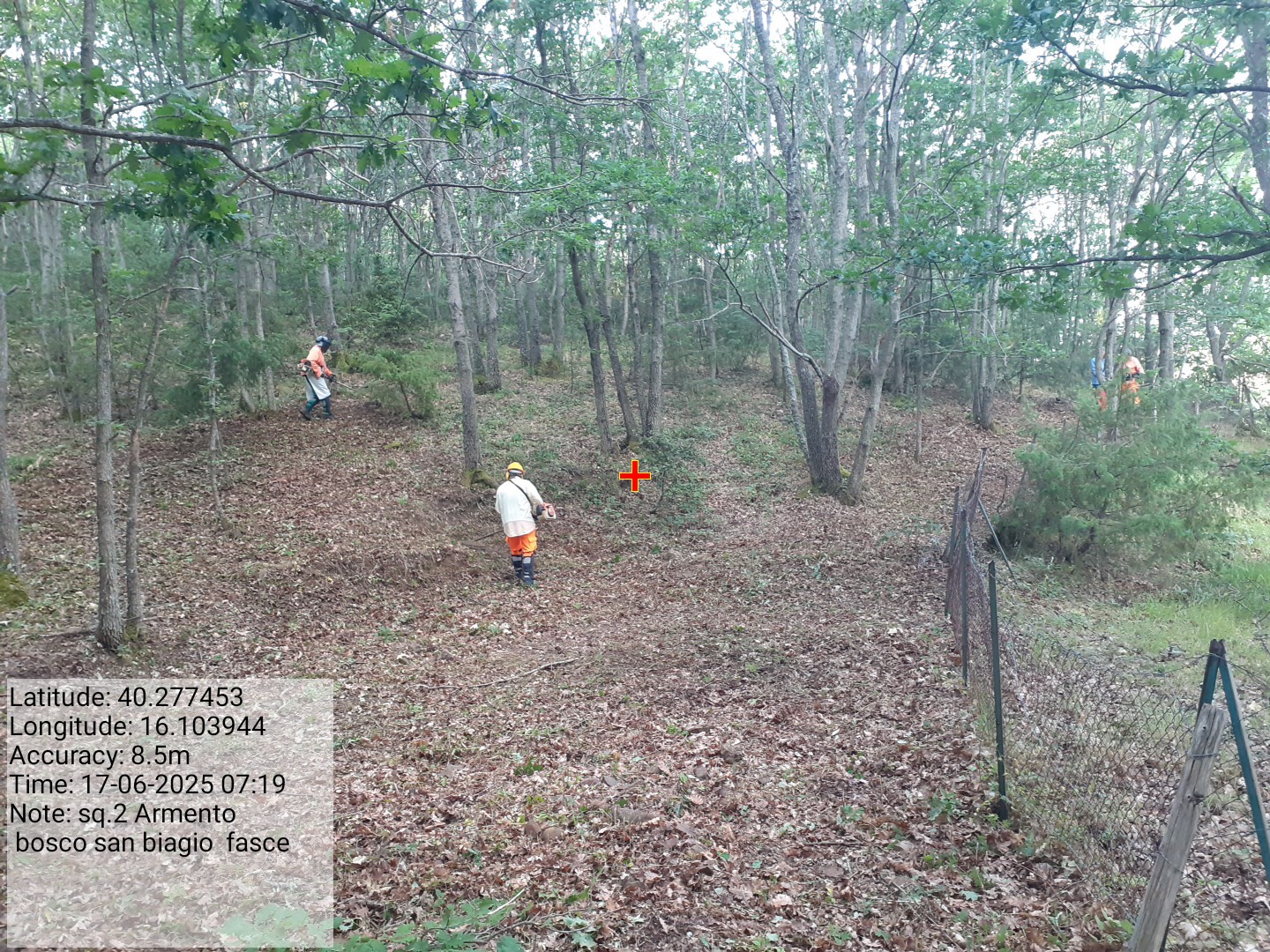 Galleria Fotografica Immagine