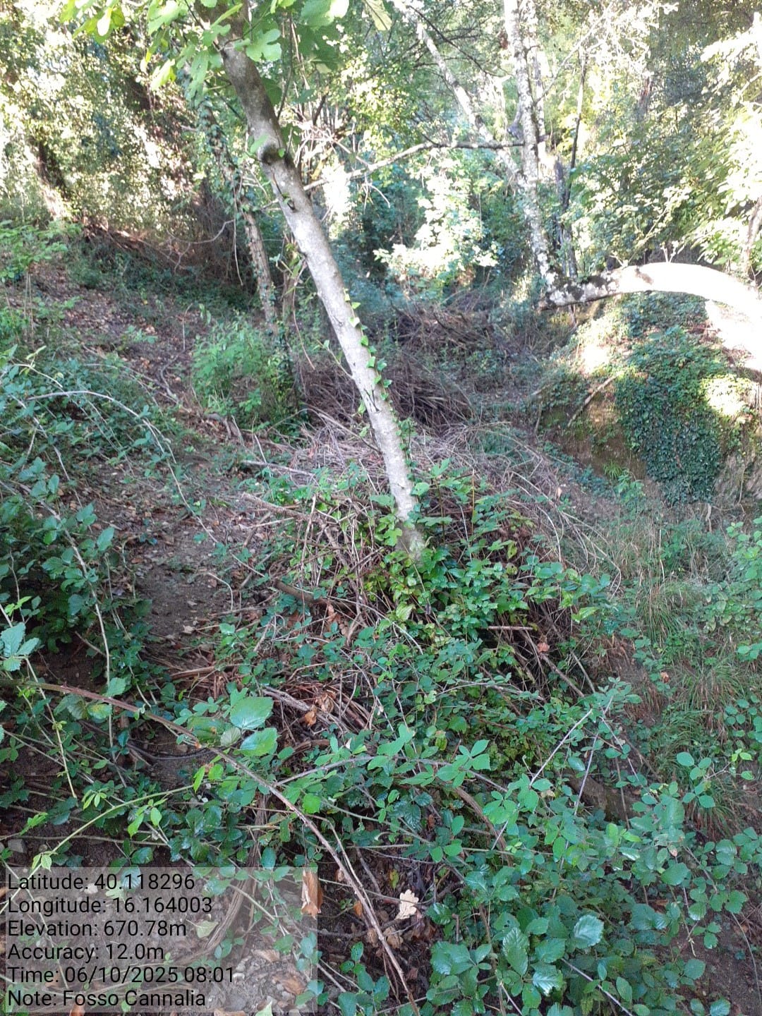 Galleria Fotografica Immagine