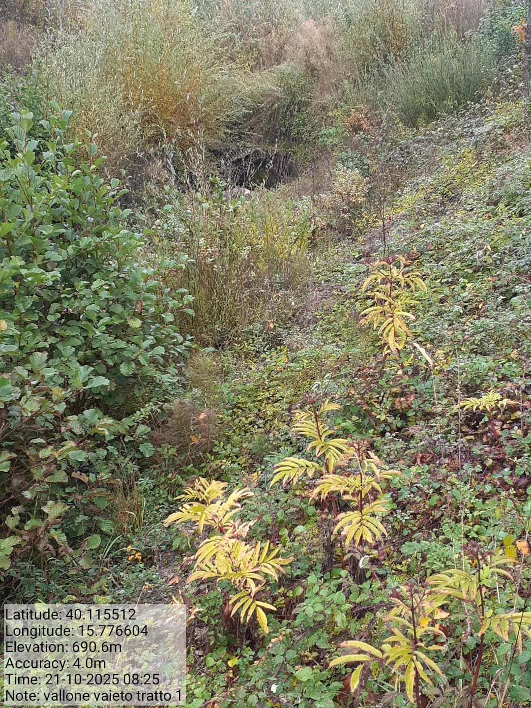 Galleria Fotografica Immagine