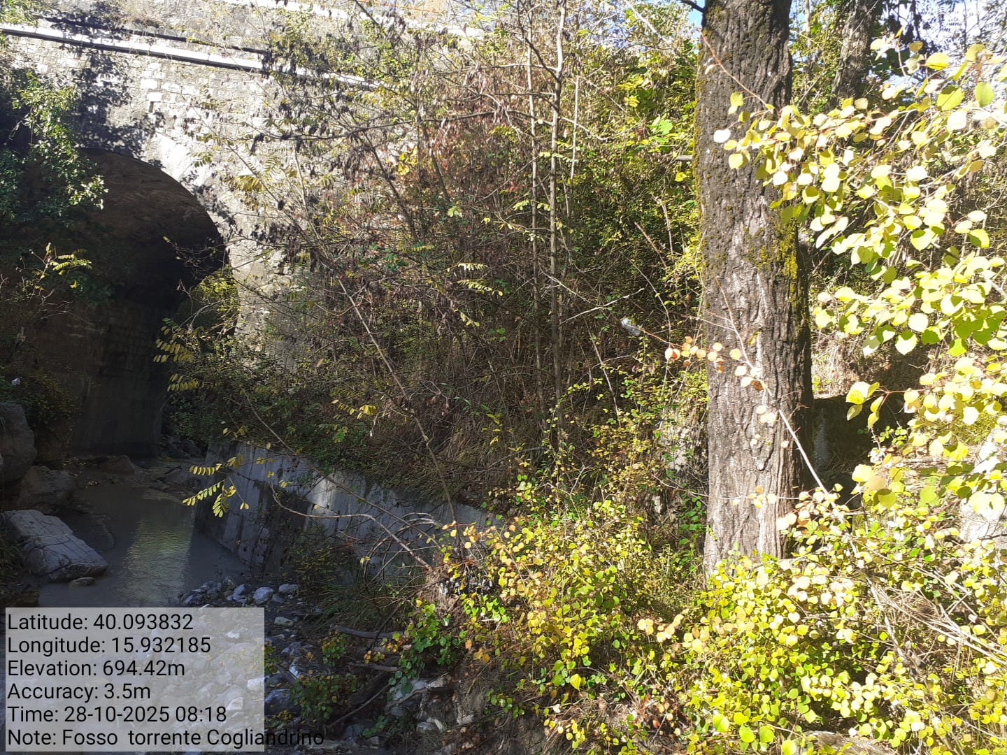 Galleria Fotografica Immagine