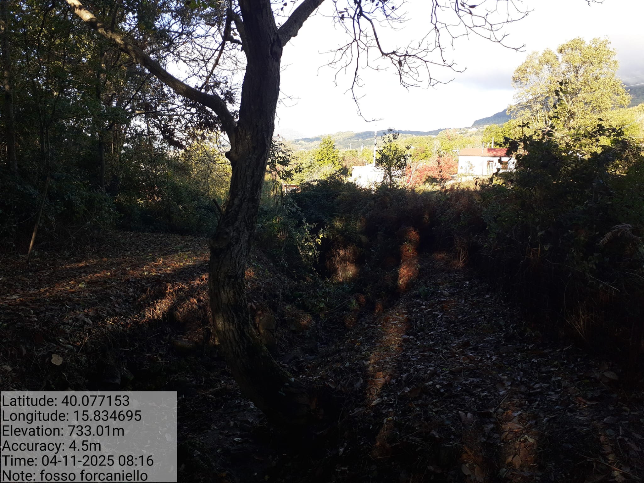 Galleria Fotografica Immagine