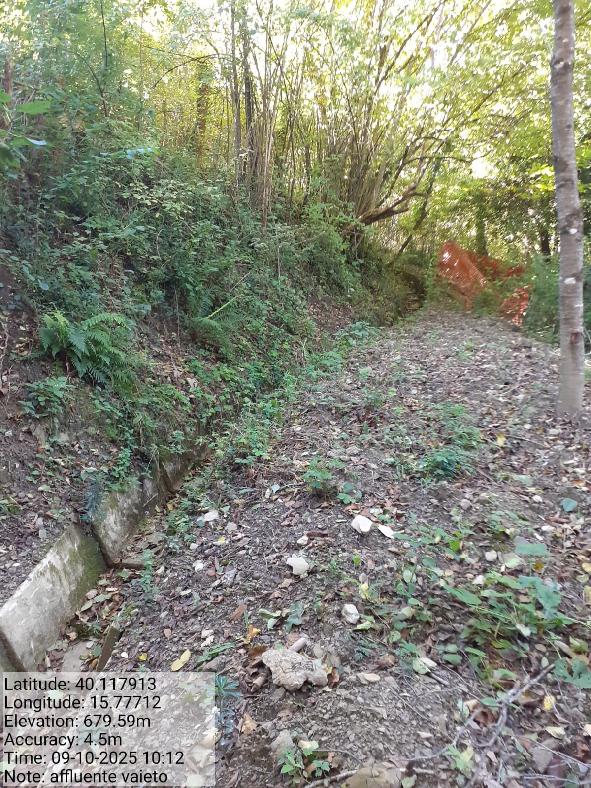 Galleria Fotografica Immagine