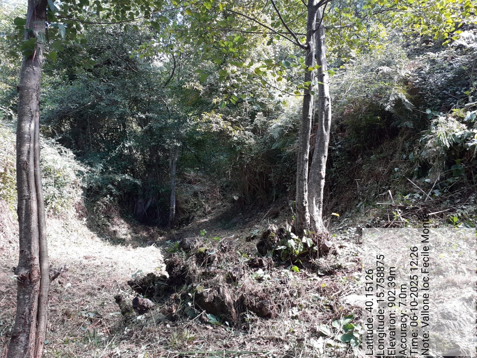 Galleria Fotografica Immagine