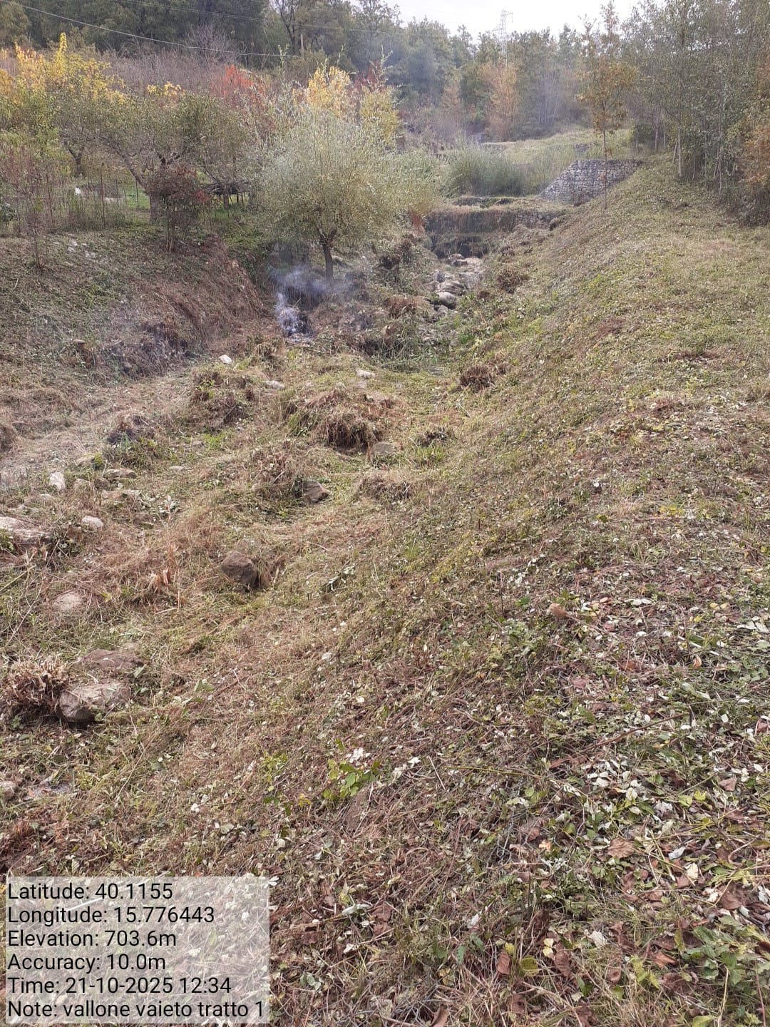 Galleria Fotografica Immagine