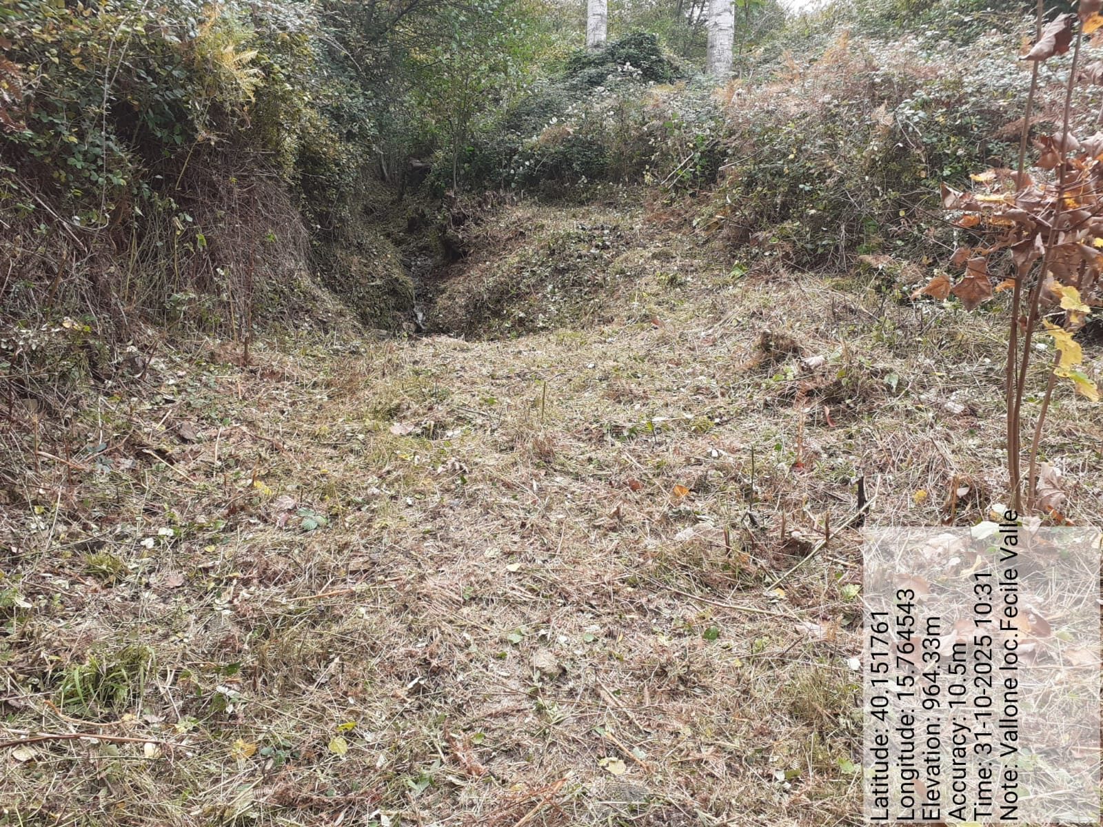 Galleria Fotografica Immagine