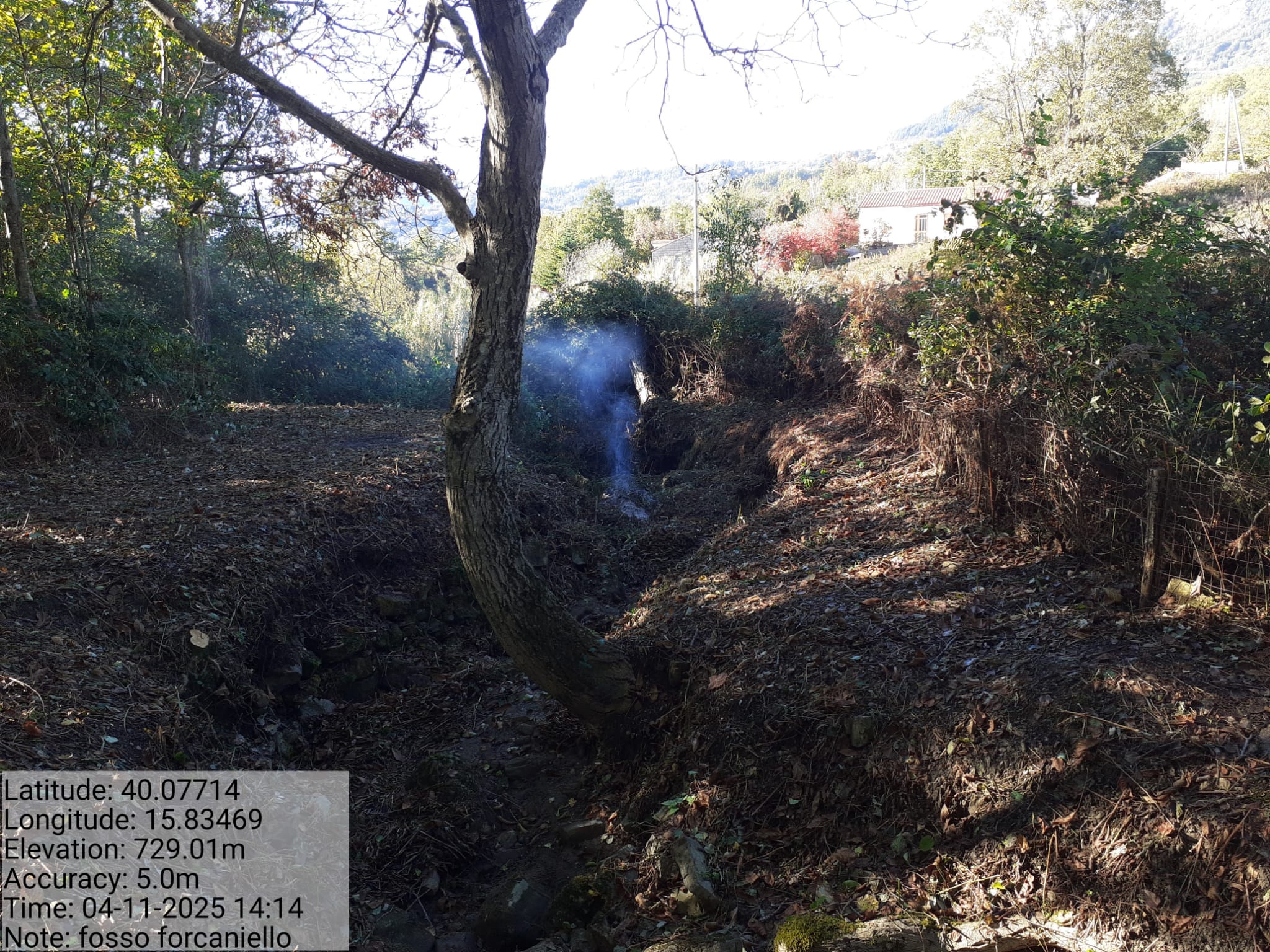 Galleria Fotografica Immagine