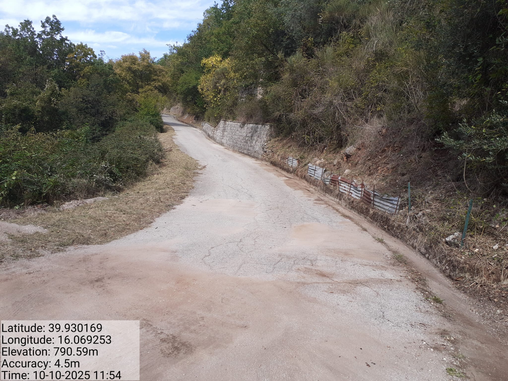 Galleria Fotografica Immagine