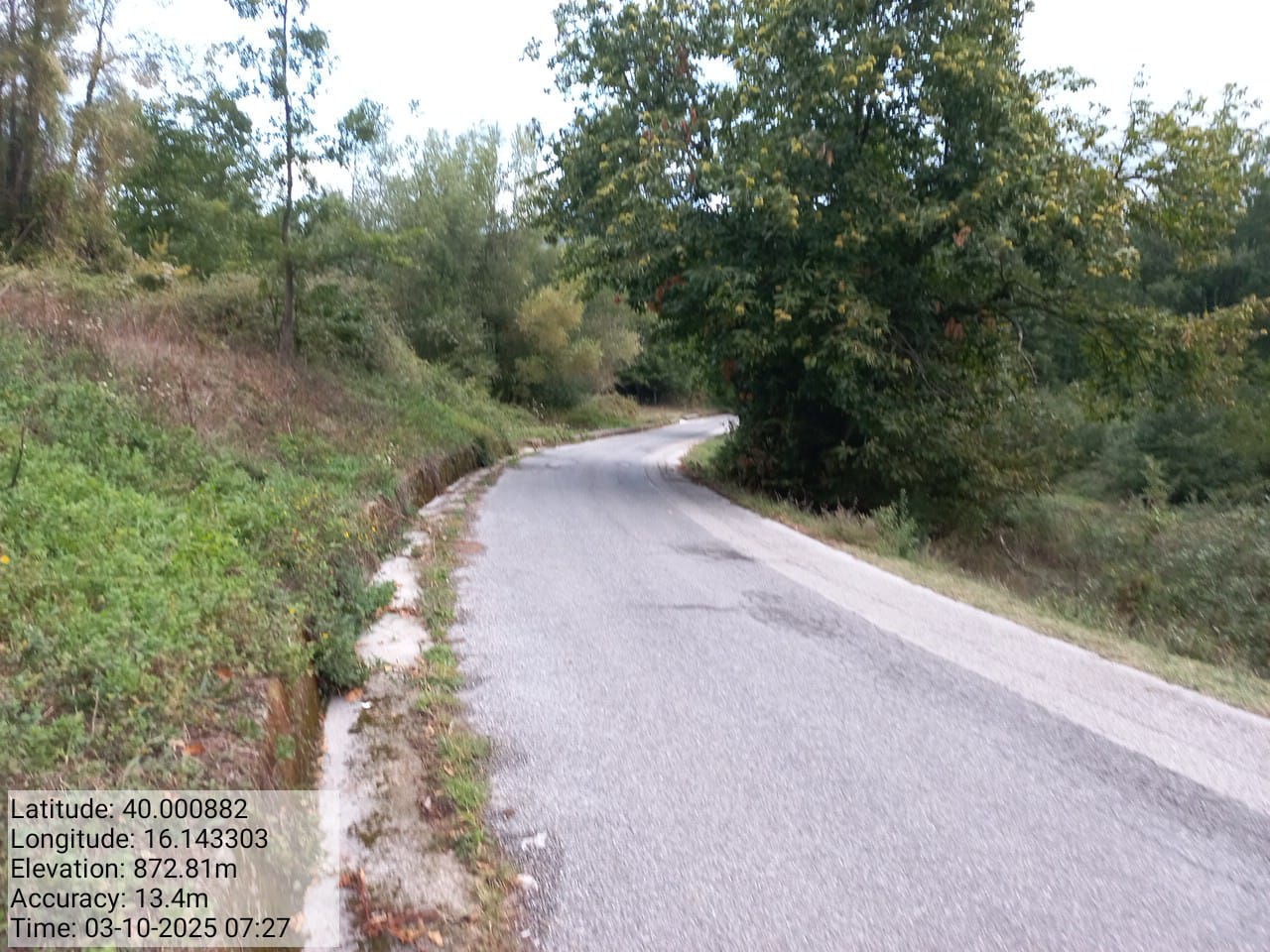 Galleria Fotografica Immagine