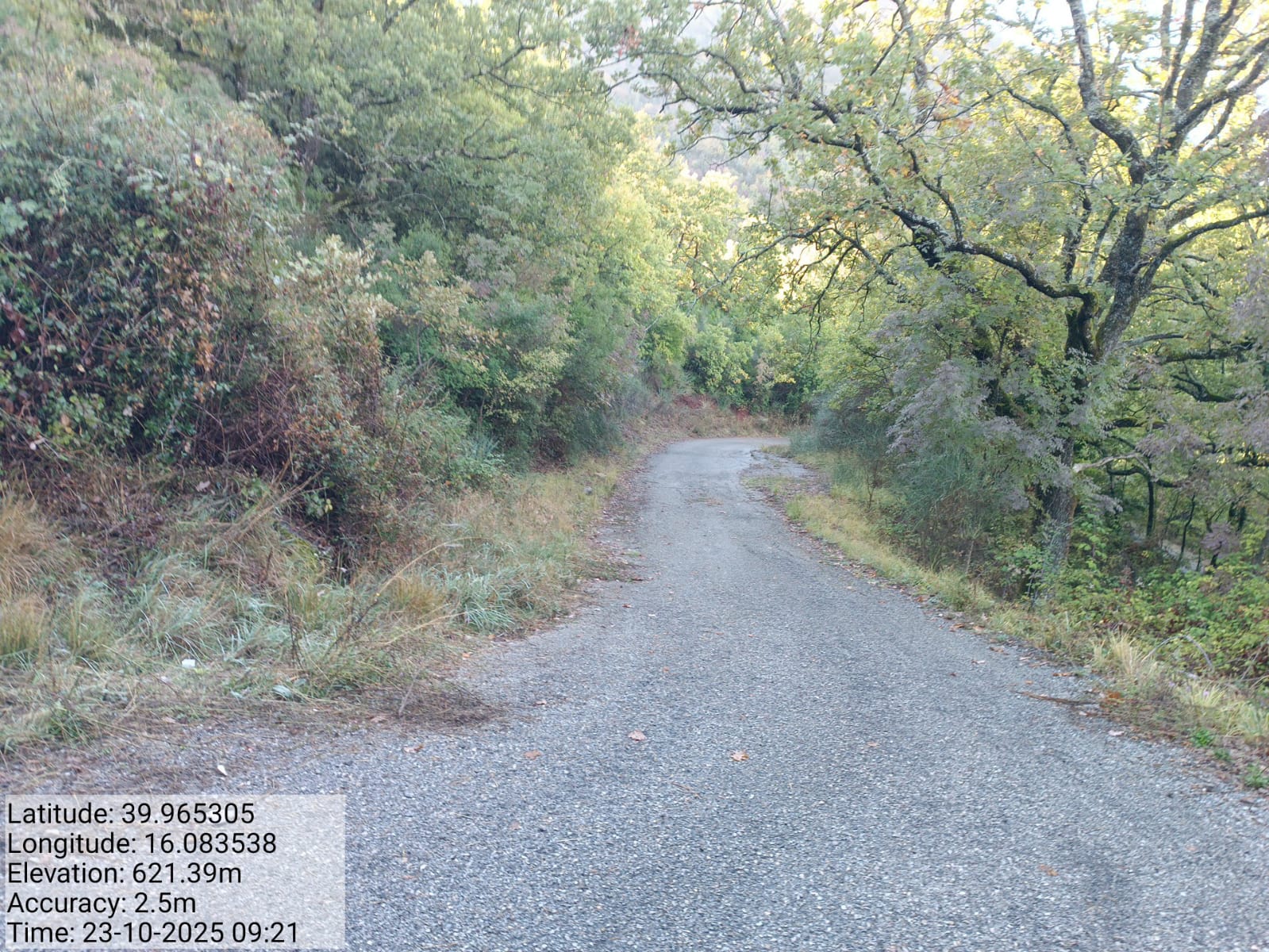 Galleria Fotografica Immagine