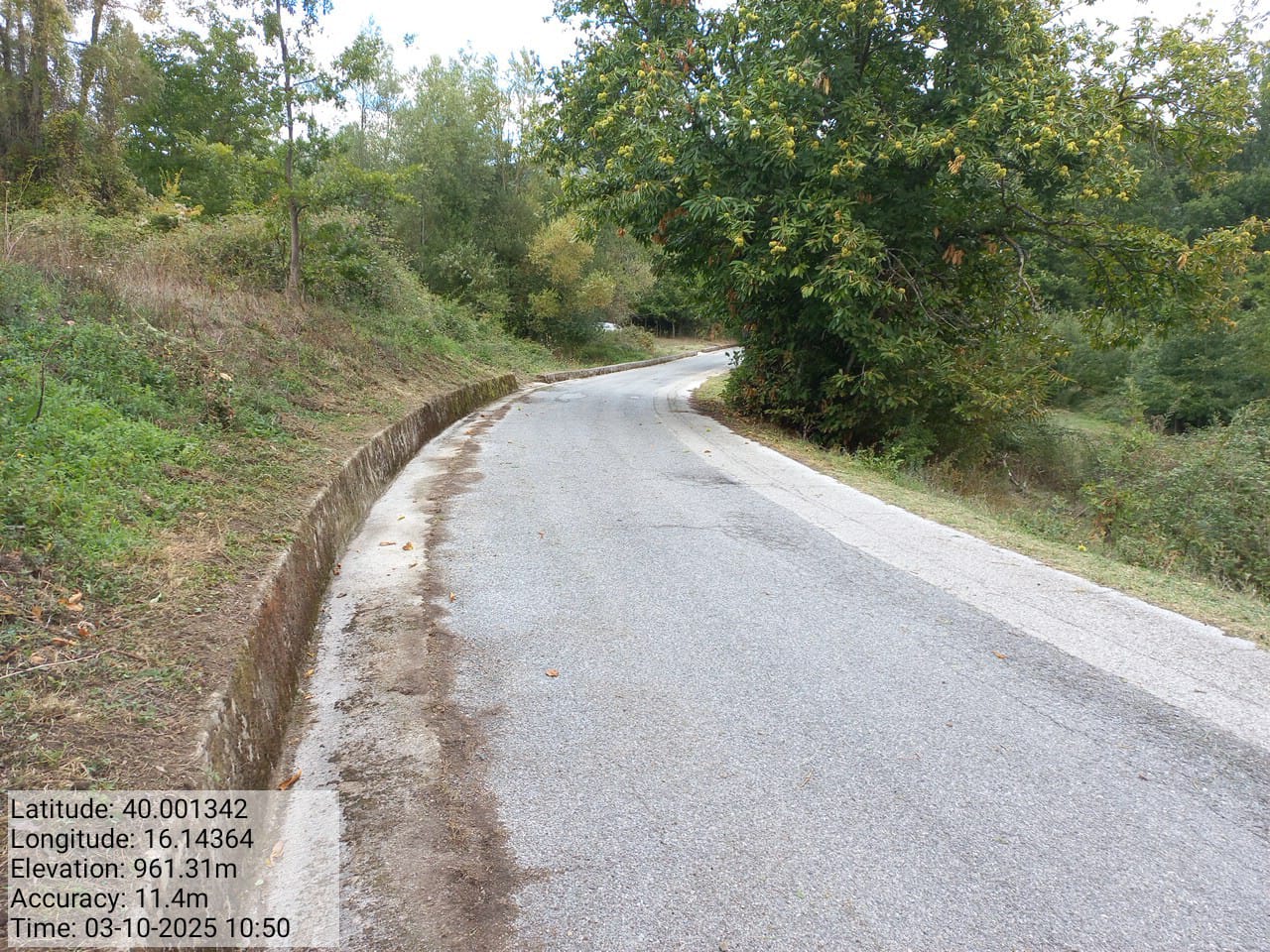 Galleria Fotografica Immagine