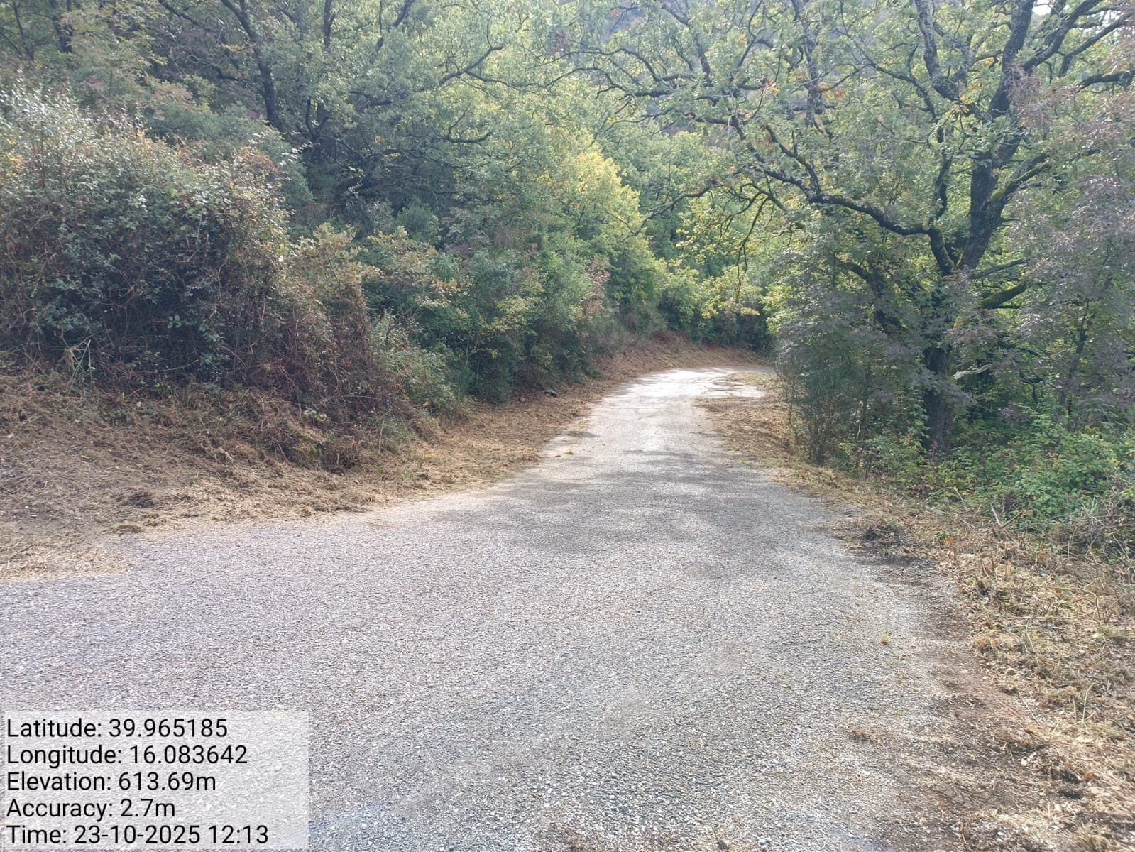 Galleria Fotografica Immagine