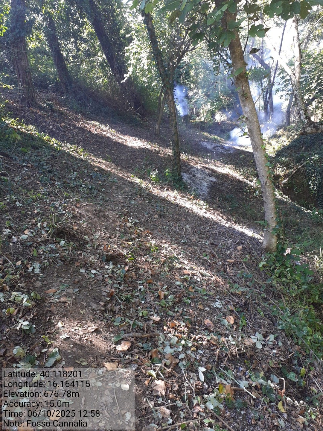 Galleria Fotografica Immagine