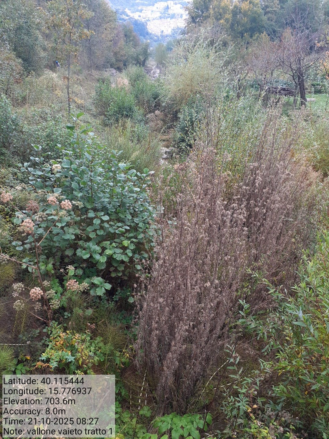 Galleria Fotografica Immagine