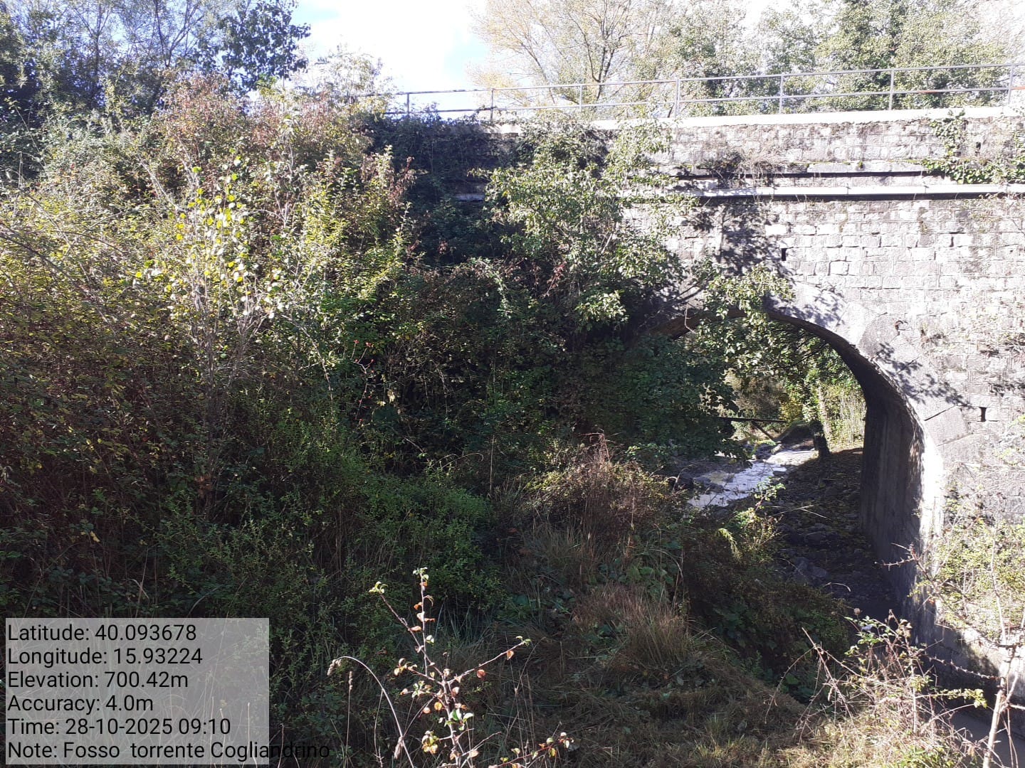 Galleria Fotografica Immagine