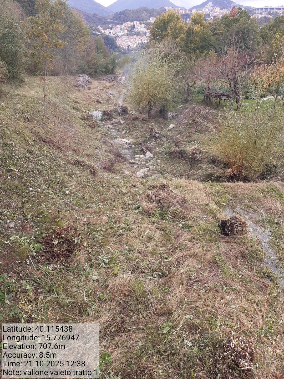 Galleria Fotografica Immagine