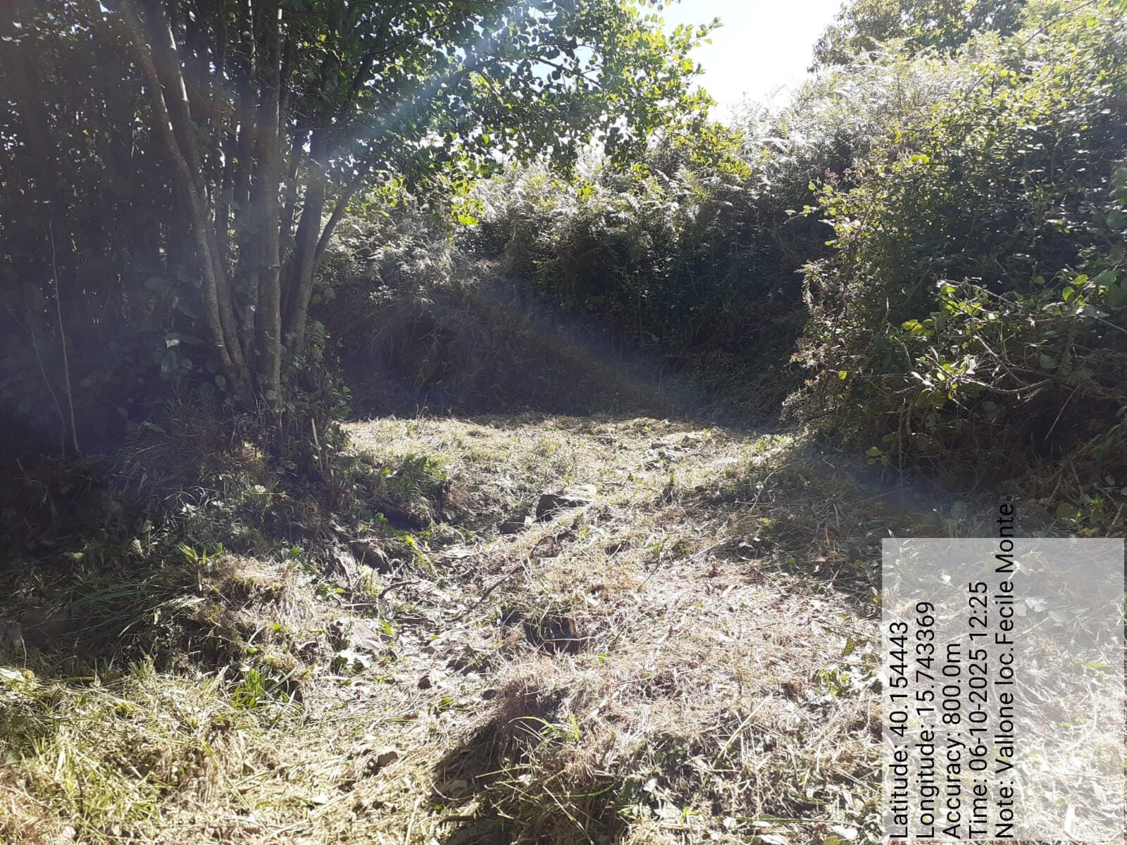 Galleria Fotografica Immagine