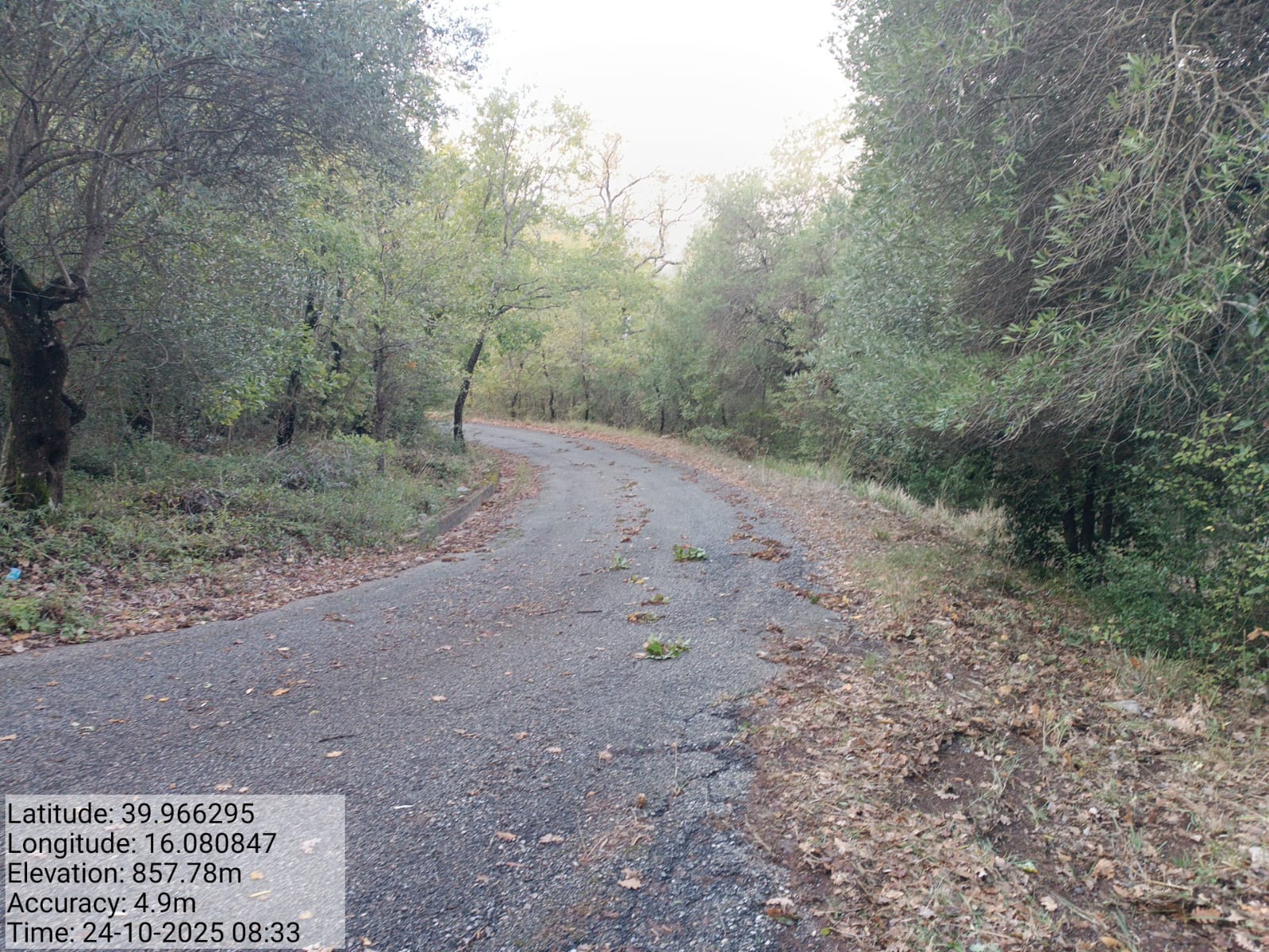 Galleria Fotografica Immagine