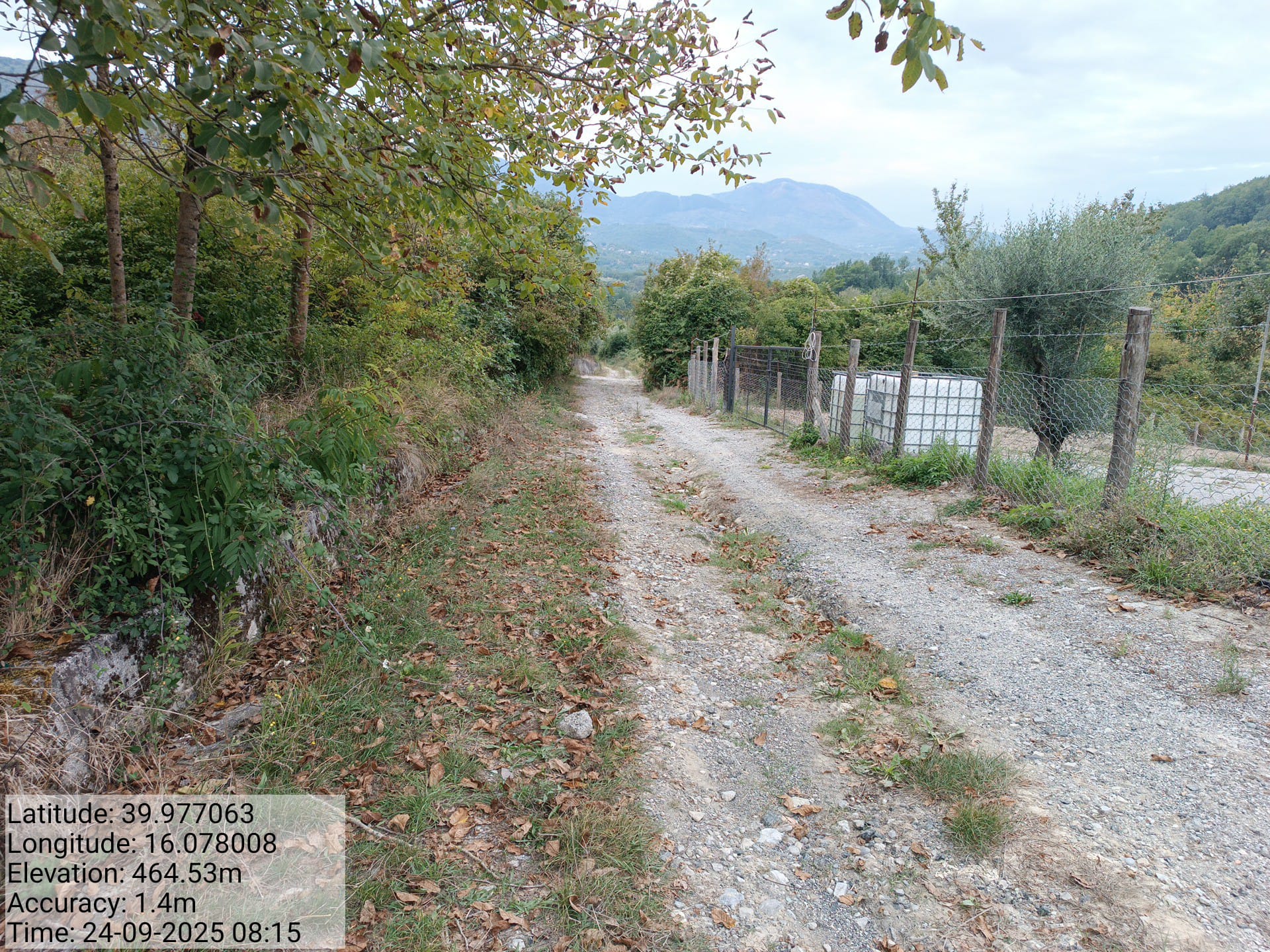 Galleria Fotografica Immagine