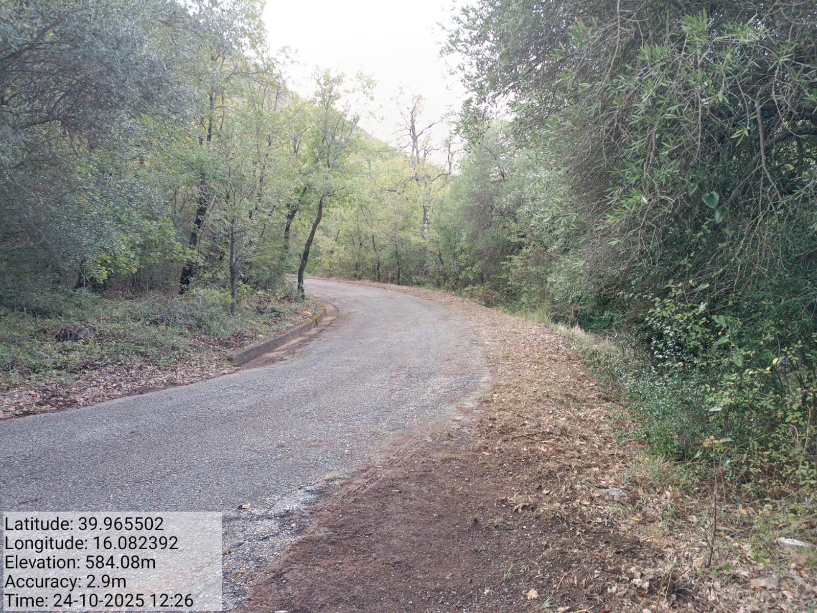 Galleria Fotografica Immagine