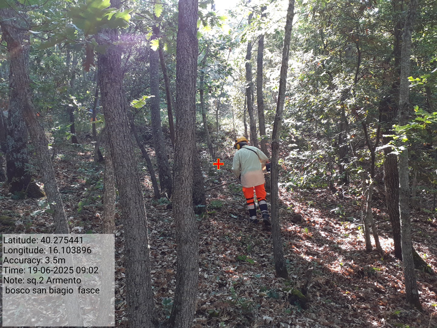 Galleria Fotografica Immagine