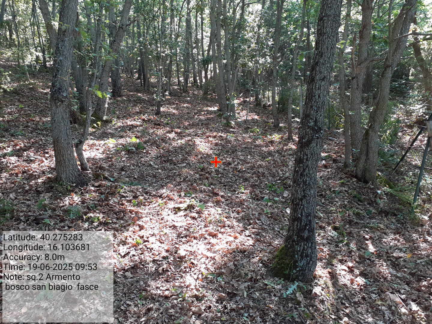 Galleria Fotografica Immagine