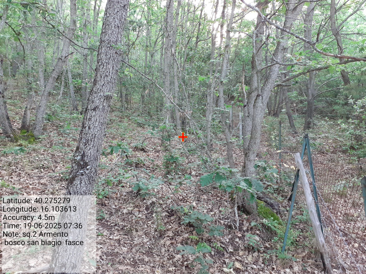 Galleria Fotografica Immagine