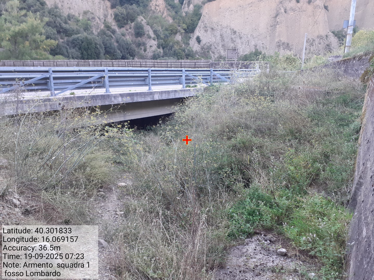 Galleria Fotografica Immagine