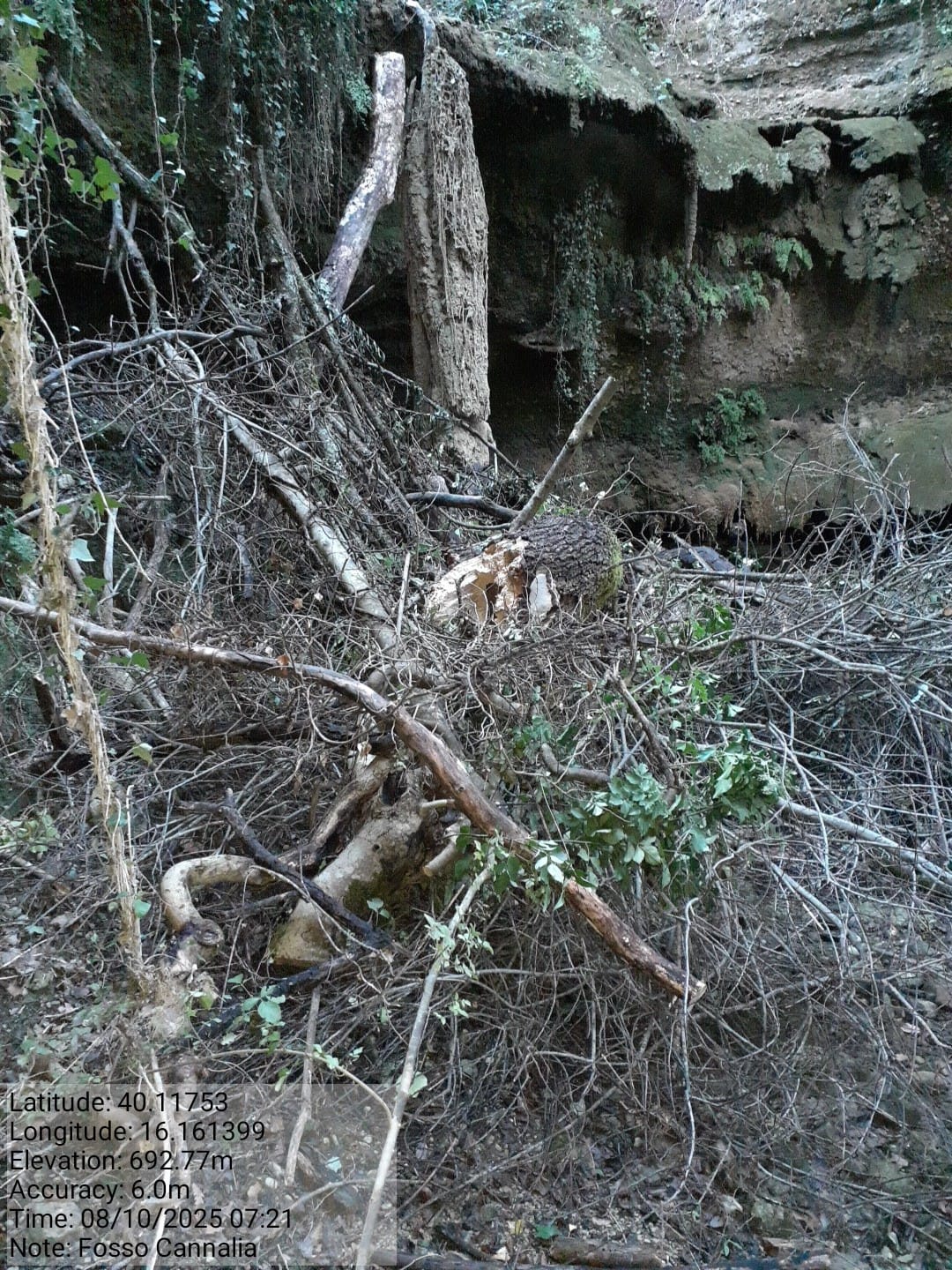 Galleria Fotografica Immagine