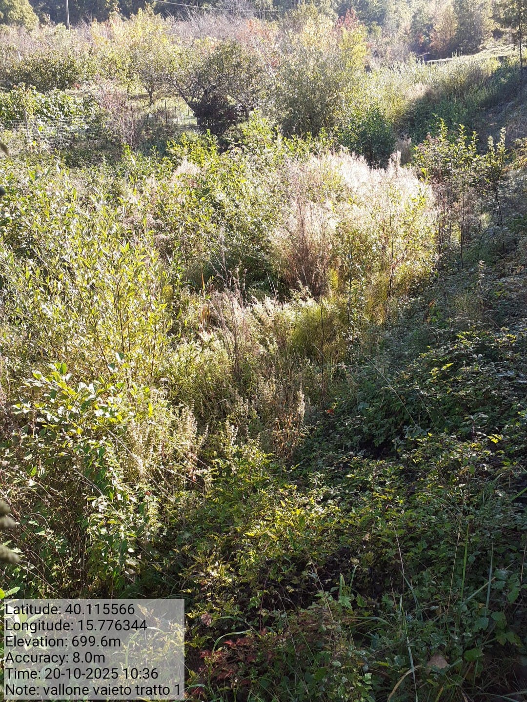 Galleria Fotografica Immagine