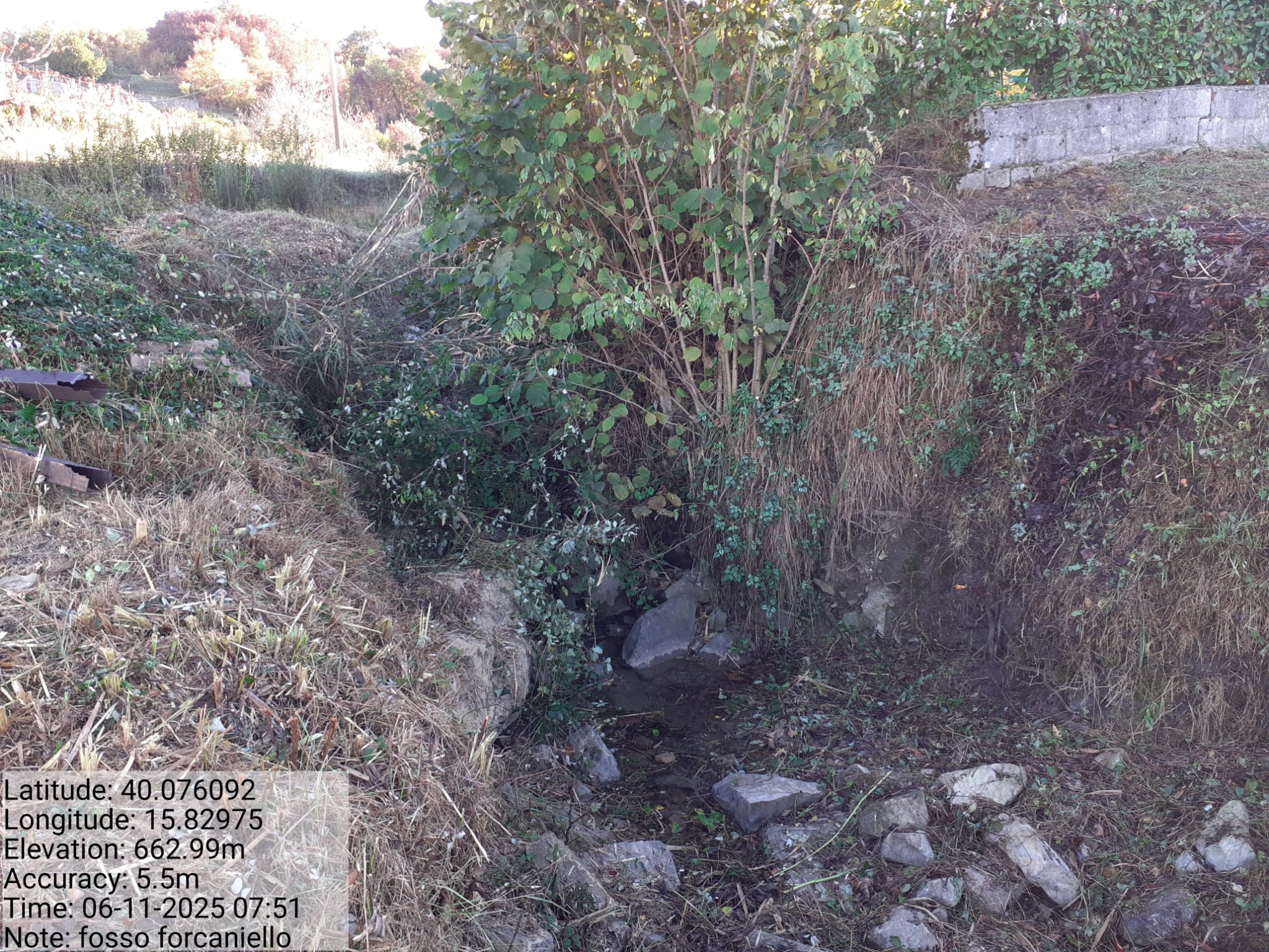 Galleria Fotografica Immagine