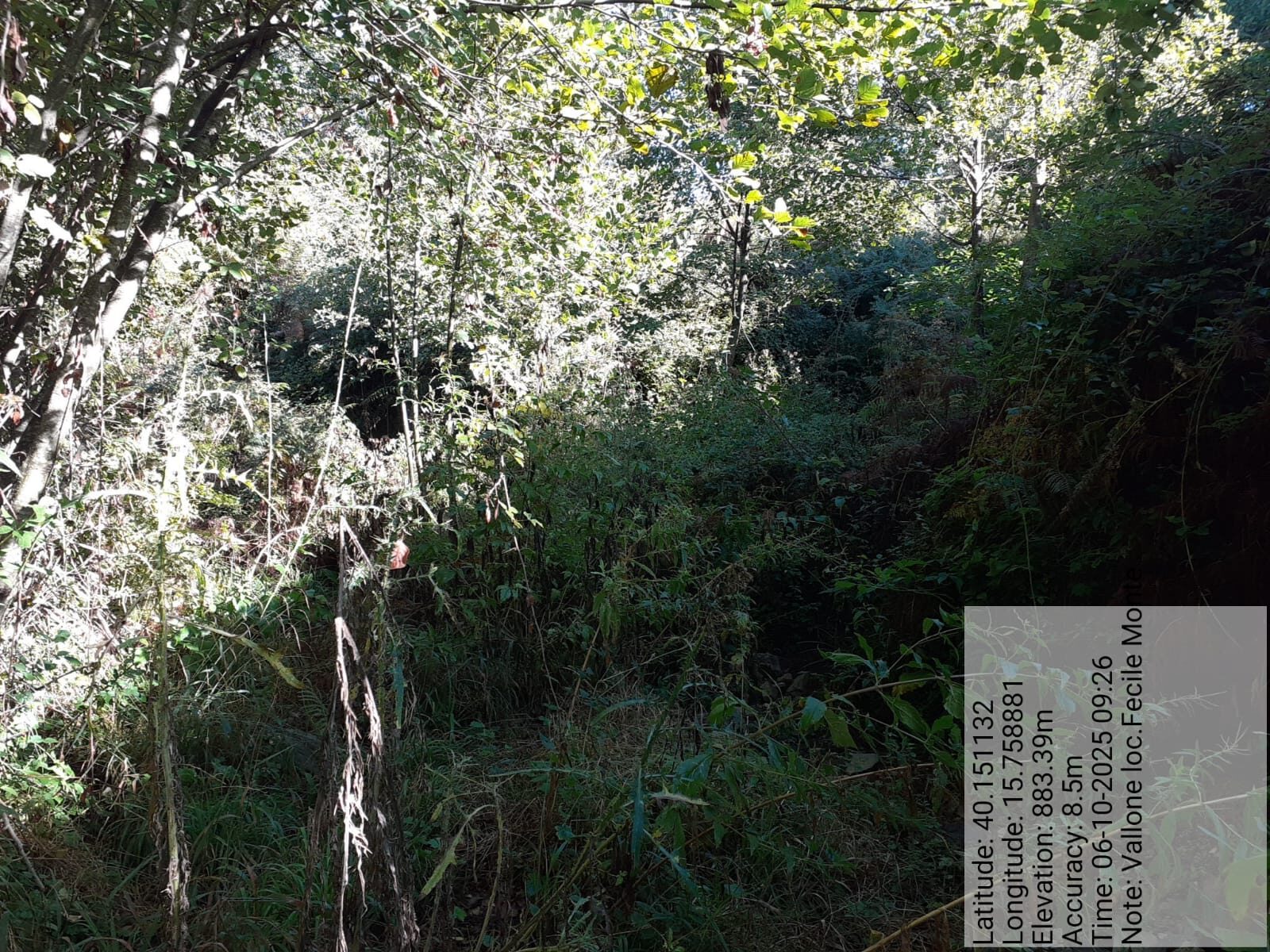 Galleria Fotografica Immagine