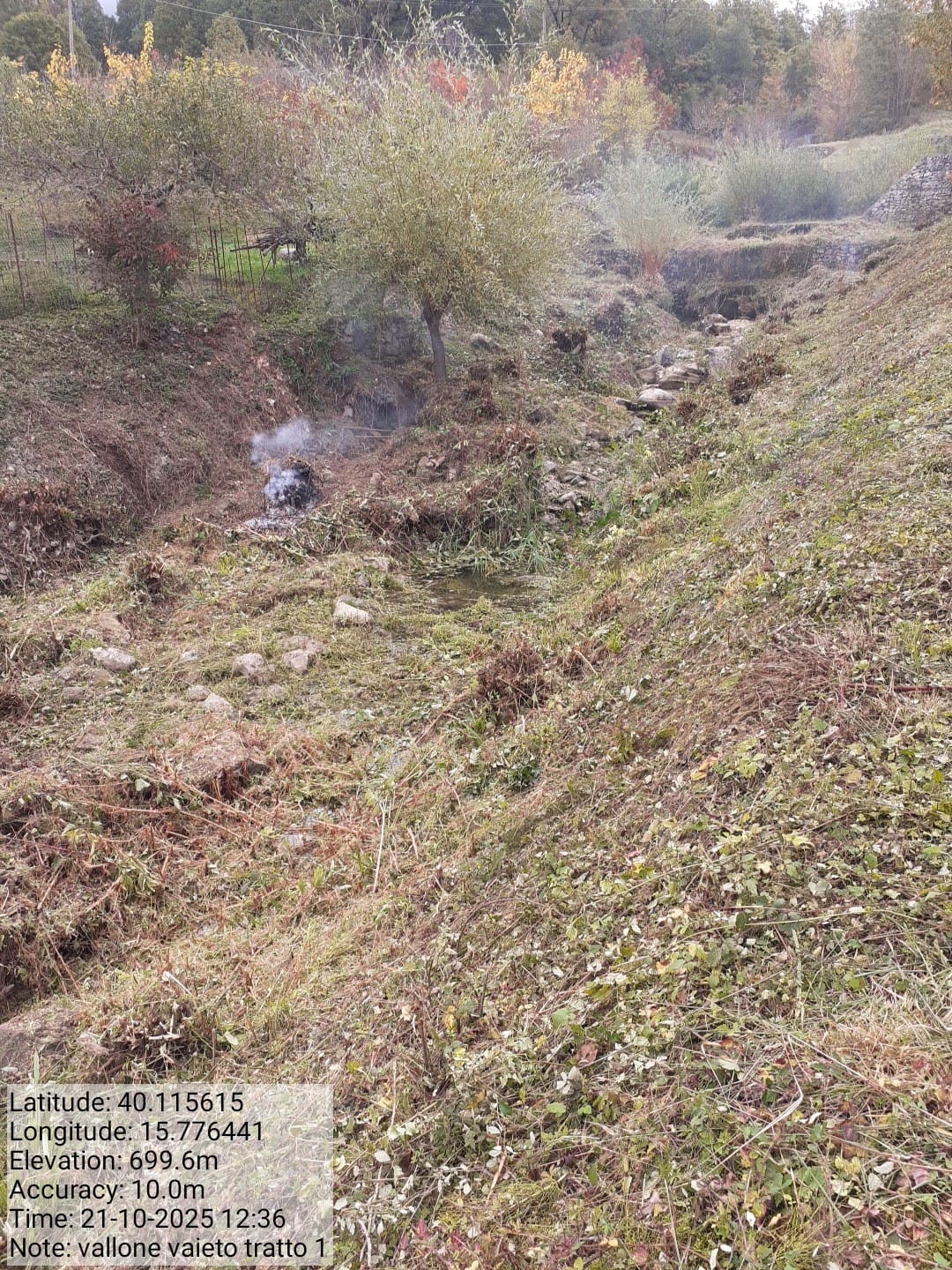 Galleria Fotografica Immagine