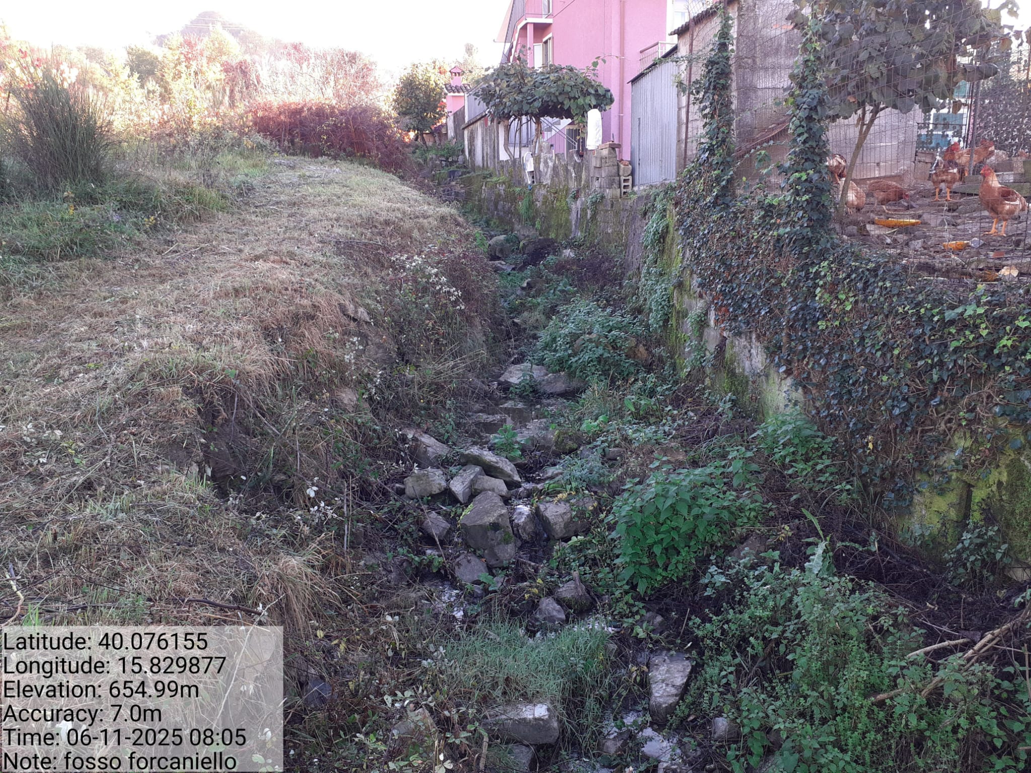 Galleria Fotografica Immagine