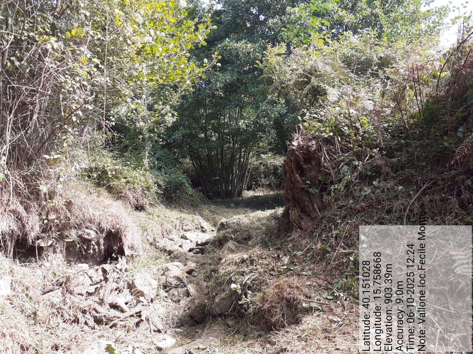 Galleria Fotografica Immagine