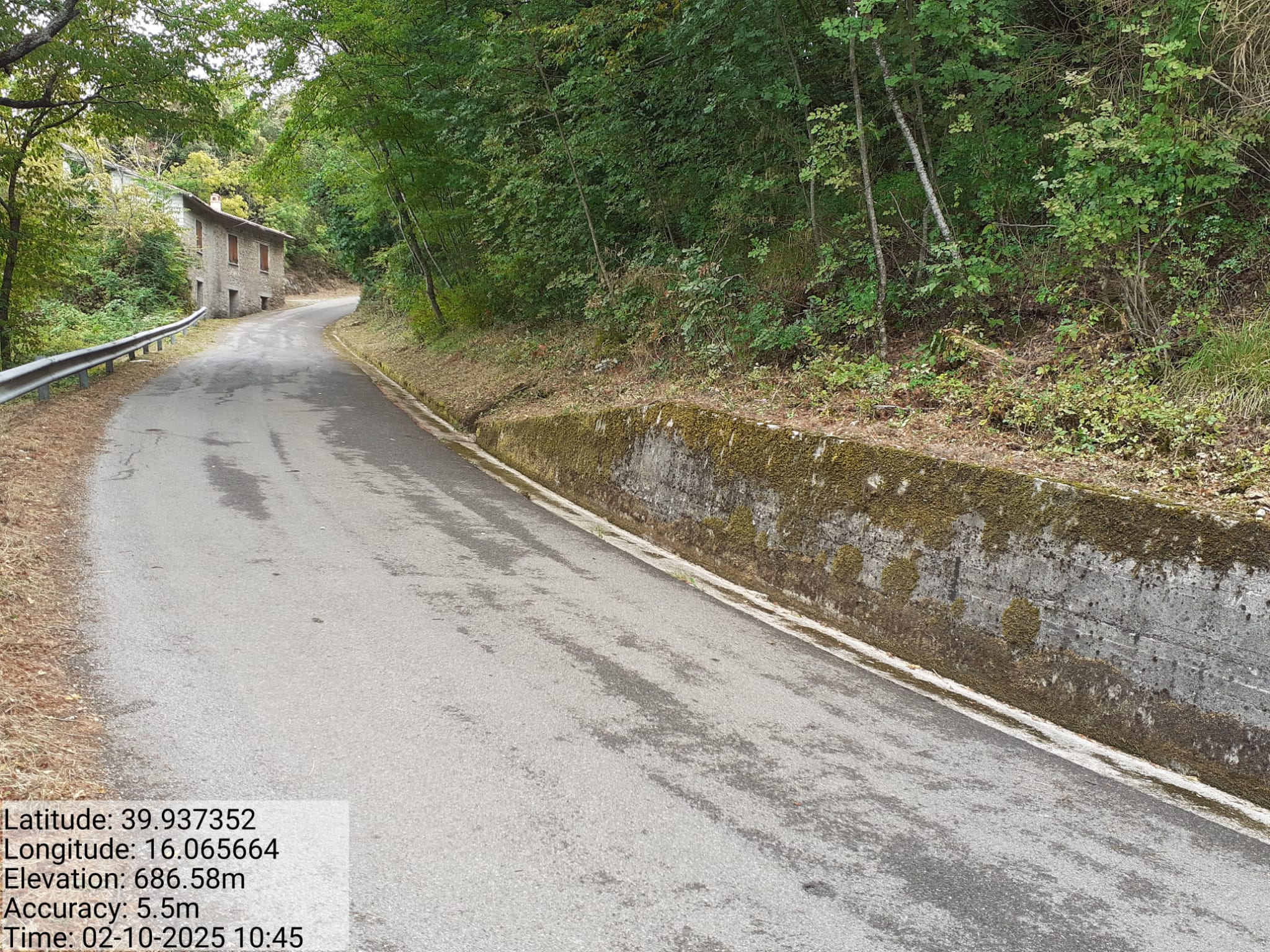 Galleria Fotografica Immagine