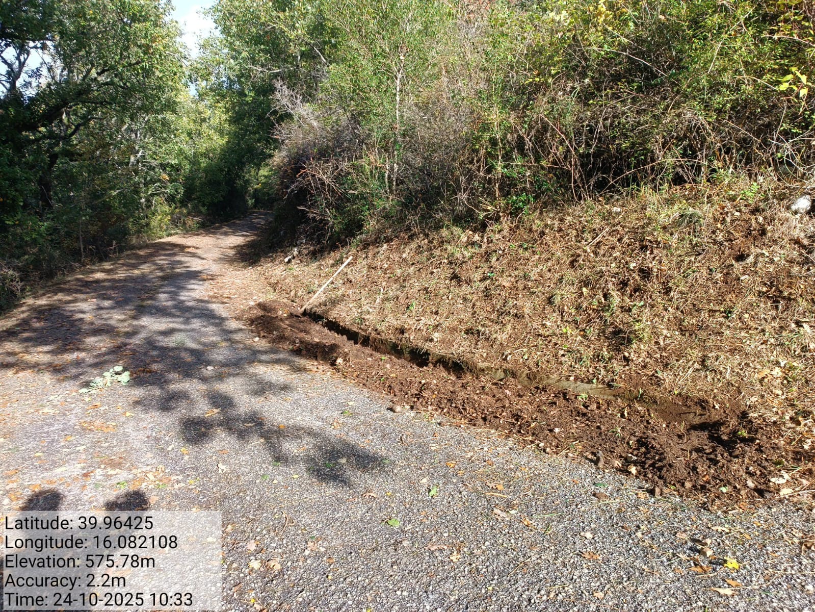 Galleria Fotografica Immagine