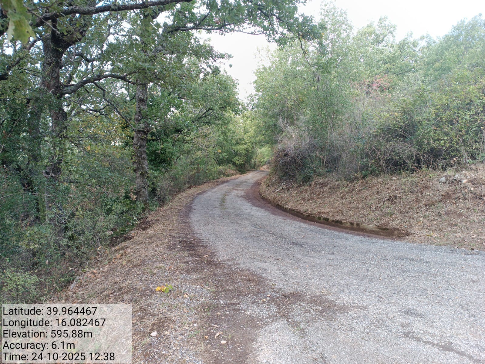 Galleria Fotografica Immagine