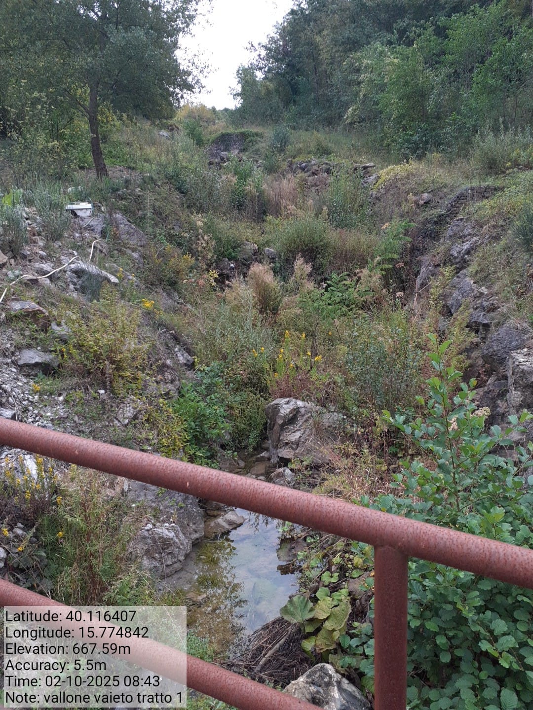 Galleria Fotografica Immagine