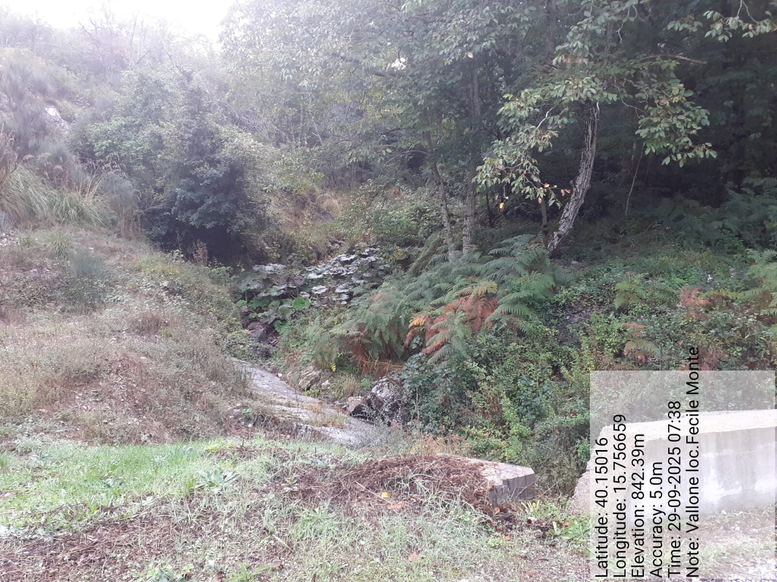 Galleria Fotografica Immagine