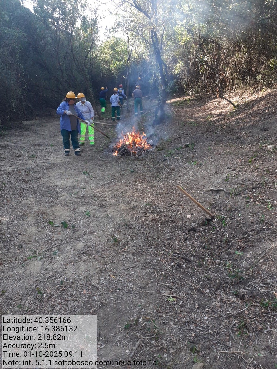 Galleria Fotografica Immagine