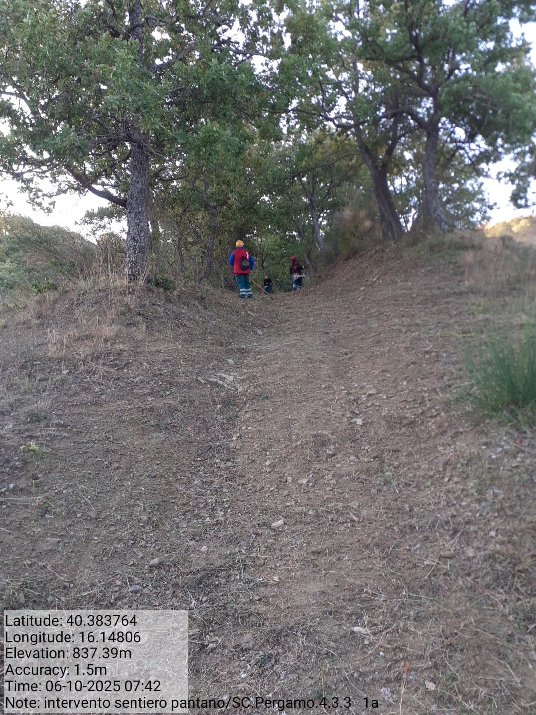 Galleria Fotografica Immagine