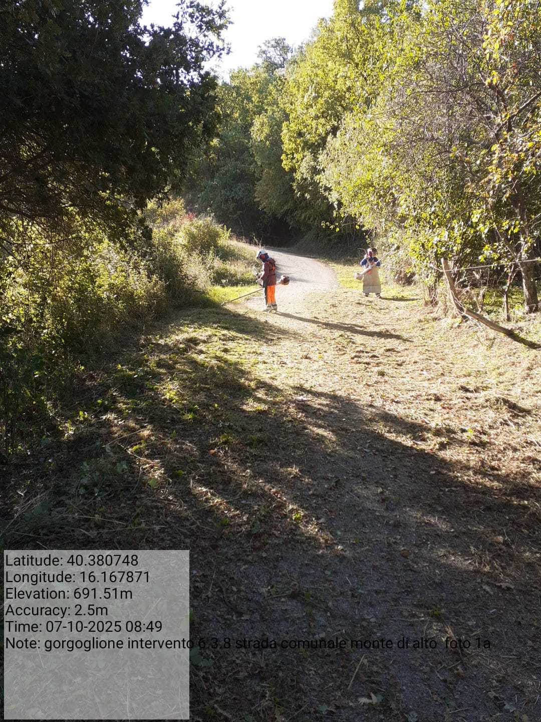 Galleria Fotografica Immagine