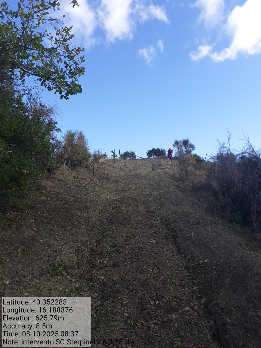 Galleria Fotografica Immagine