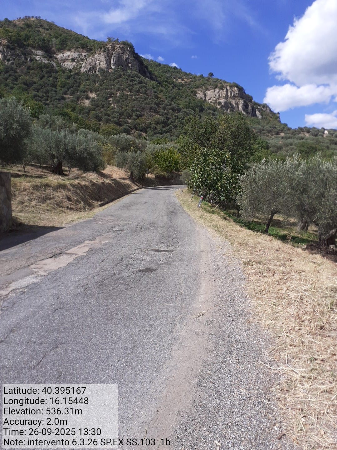 Galleria Fotografica Immagine