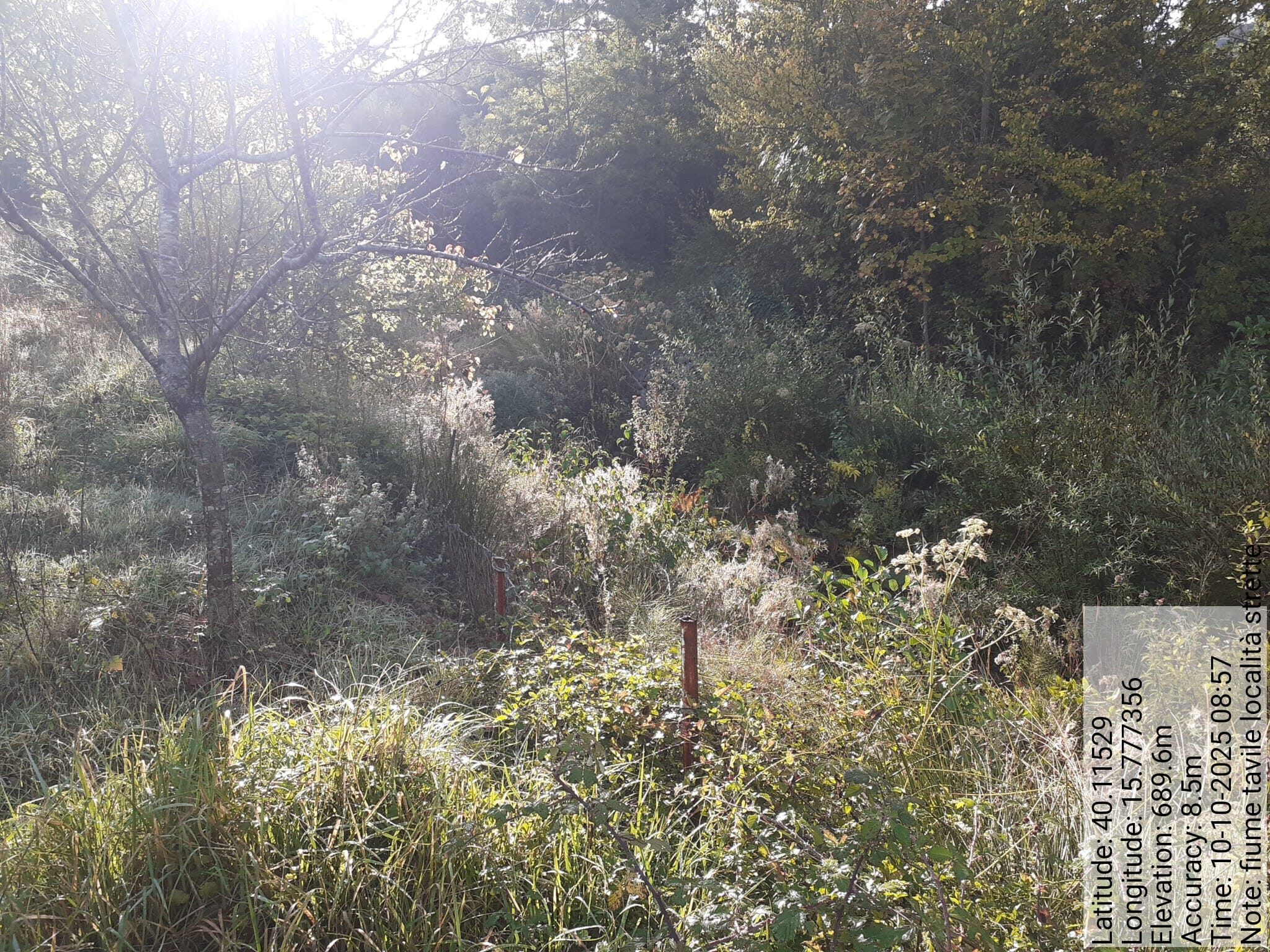 Galleria Fotografica Immagine